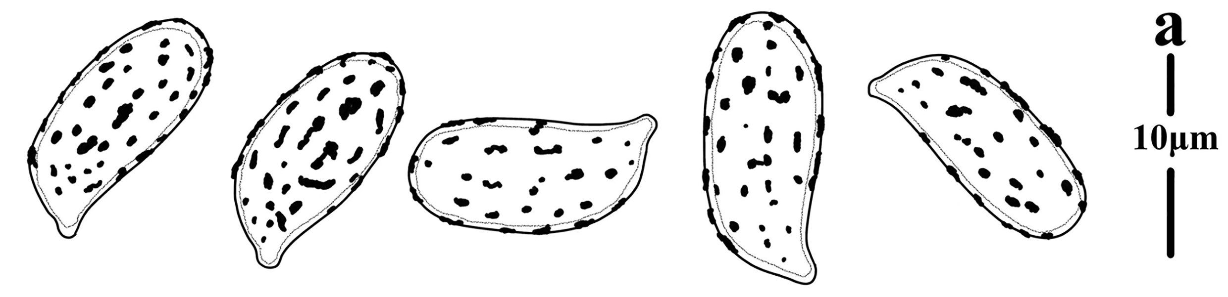 Figure 113